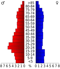 Bevolkingspiramide DeSoto County