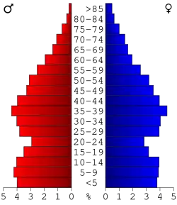 Bevolkingspiramide DeSoto County