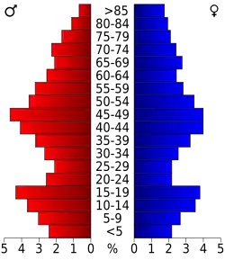 Bevolkingspiramide Deer Lodge County
