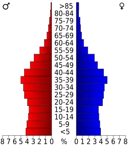 Bevolkingspiramide Denton County