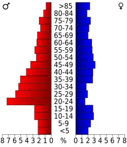 Bevolkingspiramide Dickens County