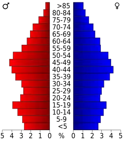 Bevolkingspiramide Dickenson County