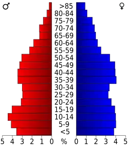 Bevolkingspiramide Dillon County