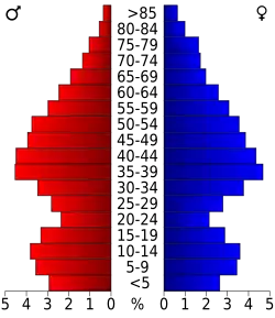 Bevolkingspiramide Dinwiddie County