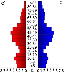 Bevolkingspiramide Dukes County