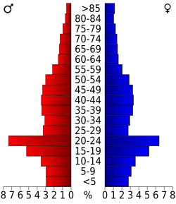 Bevolkingspiramide Dunn County