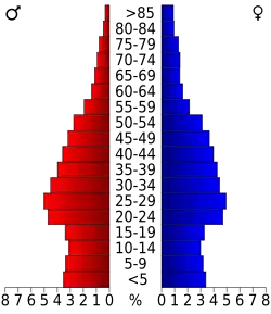 Bevolkingspiramide Durham County
