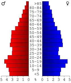 Bevolkingspiramide Emanuel County