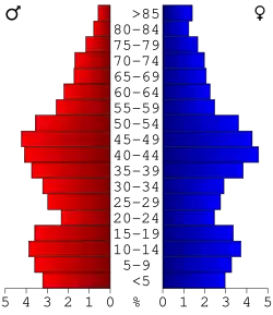 Bevolkingspiramide Emmet County