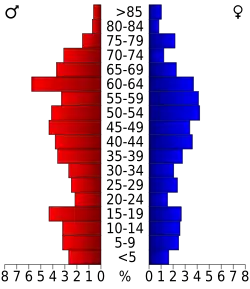 Bevolkingspiramide Esmeralda County