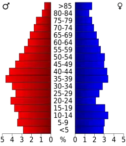 Bevolkingspiramide Fannin County