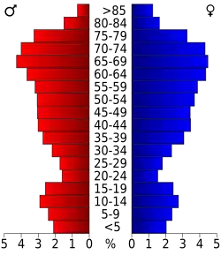 Bevolkingspiramide Flagler County