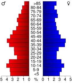Bevolkingspiramide Ford County