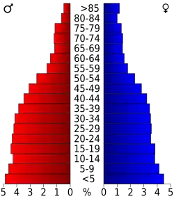 Bevolkingspiramide Ford County