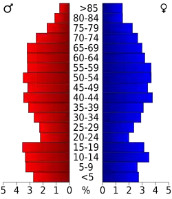 Bevolkingspiramide Fulton County