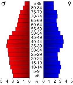 Bevolkingspiramide Fulton County