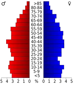 Bevolkingspiramide Fulton County