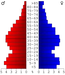 Bevolkingspiramide Gallatin County