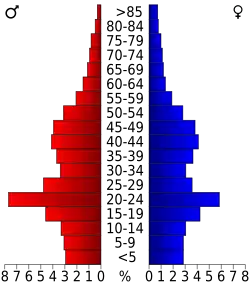 Bevolkingspiramide Gallatin County