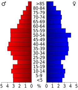 Bevolkingspiramide Giles County