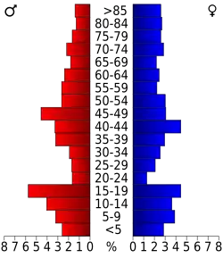 Bevolkingspiramide Golden Valley County