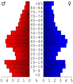 Bevolkingspiramide Goodhue County