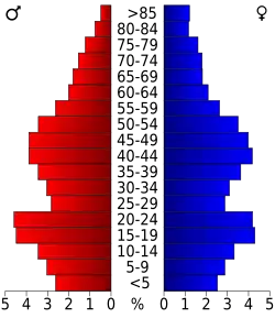 Bevolkingspiramide Grafton County