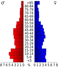 Bevolkingspiramide Gray County