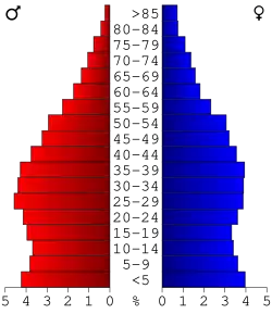 Bevolkingspiramide Hall County