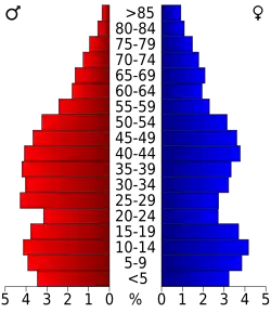 Bevolkingspiramide Hampton County