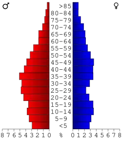 Bevolkingspiramide Hancock County