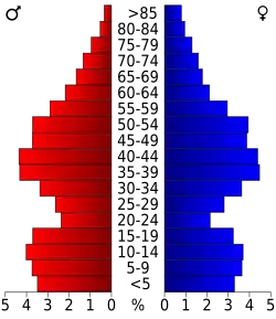 Bevolkingspiramide Hancock County