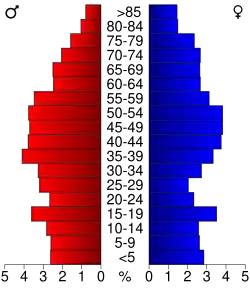 Bevolkingspiramide Hardin County