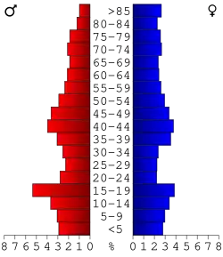 Bevolkingspiramide Hardin County