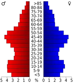Bevolkingspiramide Hawaii County