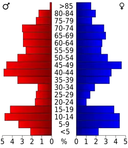 Bevolkingspiramide Hayes County