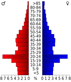 Bevolkingspiramide Hays County
