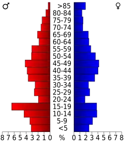 Bevolkingspiramide Hemphill County