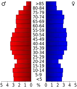 Bevolkingspiramide Henderson County