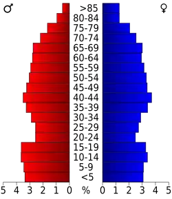 Bevolkingspiramide Henderson County