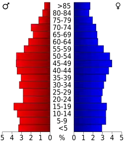 Bevolkingspiramide Henry County
