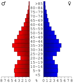 Bevolkingspiramide Henry County