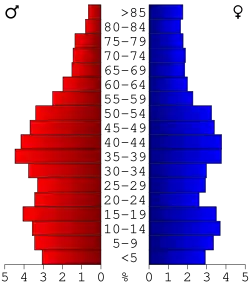 Bevolkingspiramide Henry County