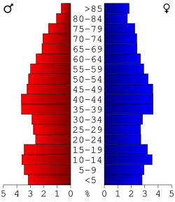 Bevolkingspiramide Henry County