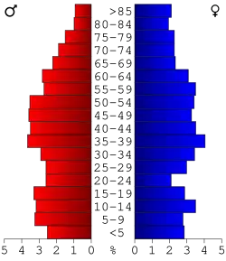 Bevolkingspiramide Hickman County