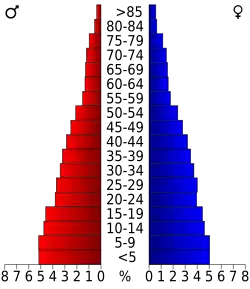Bevolkingspiramide Hidalgo County