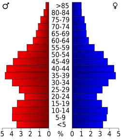 Bevolkingspiramide Hillsborough County