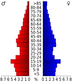 Bevolkingspiramide Hockley County