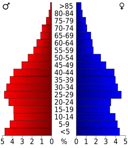 Bevolkingspiramide Hoke County