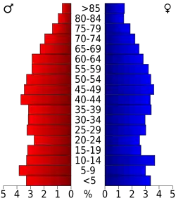 Bevolkingspiramide Houston County